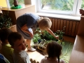 20160602_100423.jpg