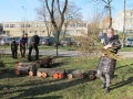 IMG_1843.JPG