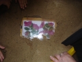DSC04538.JPG