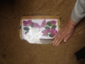 DSC04539.JPG