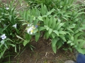 DSC04542.JPG
