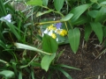 DSC04543.JPG