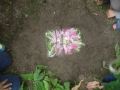 DSC04545.JPG