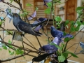 DSC07284.JPG