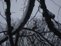 DSC04300.JPG