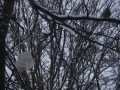 DSC04302.JPG