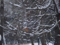 DSC04309.JPG