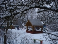 DSC04328.JPG