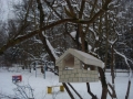 DSC04331.JPG