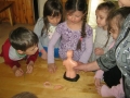 IMG_1297.JPG
