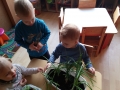 Pauksteliu 02