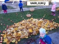 20181015_103504