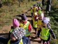 Kelionė-į-mišką-13