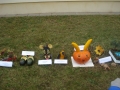 DSC04004.JPG