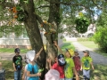 IMG_5755.JPG