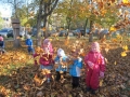 IMG_9184.JPG