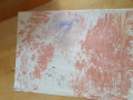 20160622_110617.jpg