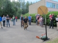 IMG_5557.JPG
