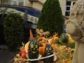 DSC03822.JPG