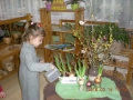 DSCN5015.jpg