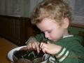 DSCN5025.jpg