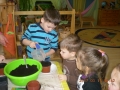 DSCN5296.jpg