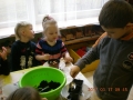 DSCN5297.jpg